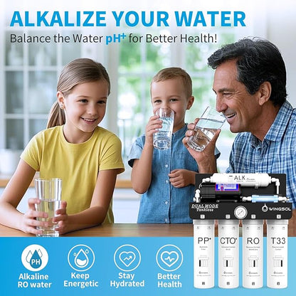 WINGSOL Replacement Filter Cartridge for RO Water Filter System Compatibel with: WS-QCJ-6RO (F-T33)(F-ALK)(F-Dual), T33