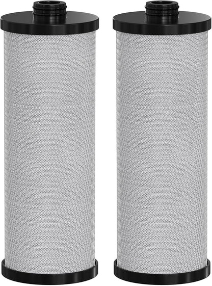 KW1 RV Water Filter – High-Capacity Replacement Compatible with WaterPur KW1a nd Neo-Pure NP-KW1 for Built-In RV Water Filtration Systems, 2-Pack