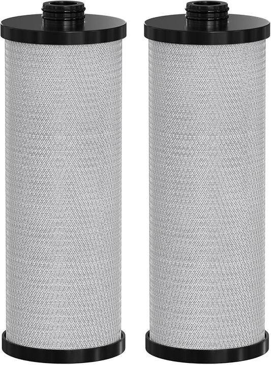 KW1 RV Water Filter – High-Capacity Replacement Compatible with WaterPur KW1a nd Neo-Pure NP-KW1 for Built-In RV Water Filtration Systems, 2-Pack