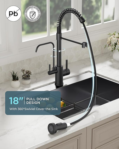 FORIOUS Black Kitchen Faucet with Purfied Water Filter, 2 in 1 Commercial Stainless Steel Pull Down Sink Faucet and Drinking Water Faucet 2 Handle for Pot Filler Kitchen Sink Farmhouse Bar