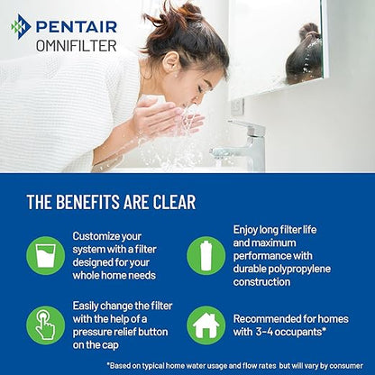 Pentair OMNIFilter Whole Home Valve-in-Head 10" Heavy-Duty Big Blue Water Filtration System with Pressure Relief, White/White