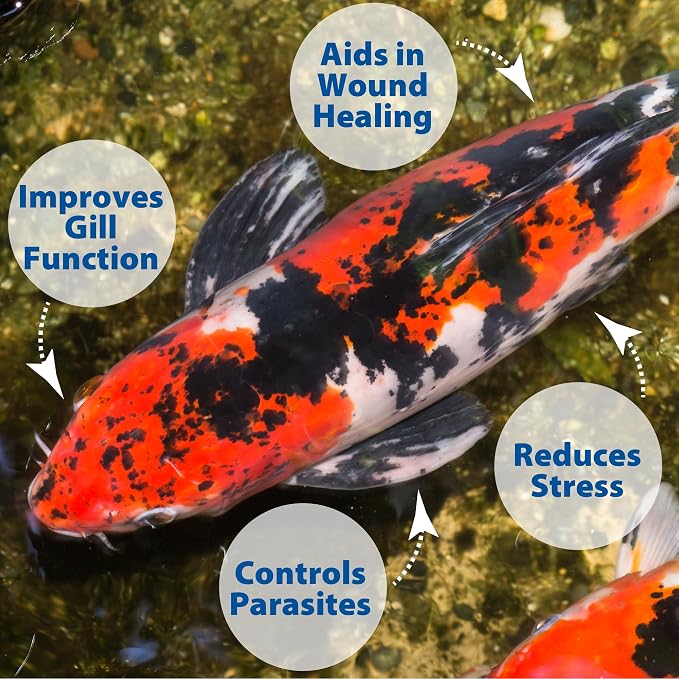 The Pond Guy Pond Salt, Outdoor Water Garden Treatment, Natural Crystal Rock Salt Additive, Koi Stress Control, Slime Coat Health & Electrolytes Treatments, Fish, Bird & Pet Safe, 20 lbs