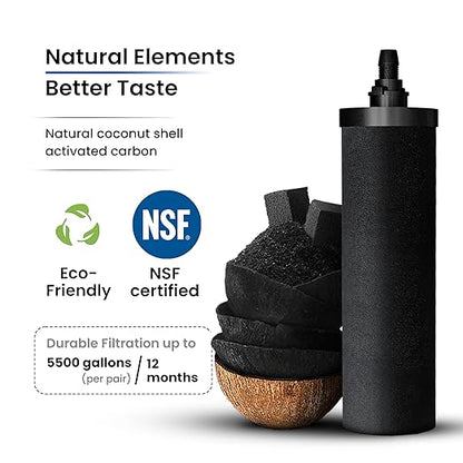 Phoenix Gravity - 4.25 G Gravity Water Filter System AISI 304 Stainless Steel Gravity Fed Water Filter System NSF/ANSI 42 & 372 Certified 2 Carbon Filter Elements & Free Stainless Steel Water Spigot