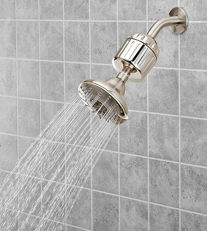 Sprite Showers HO2-BN High Output 2 Universal Shower Filter Housing, Brushed Nickel