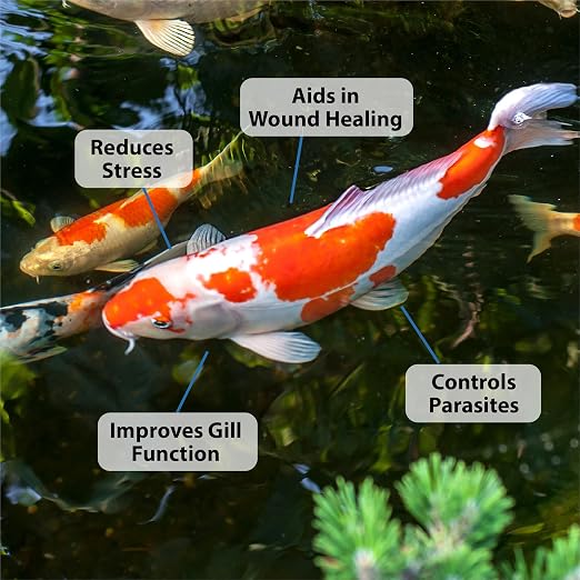 CrystalClear ParaSalt Rock Salt Crystals for Pond & Water Garden, 10 lbs | Natural aquatic additive, fish parasite control with beneficial stress reducing slime coat treatment koi, plants & pet safe