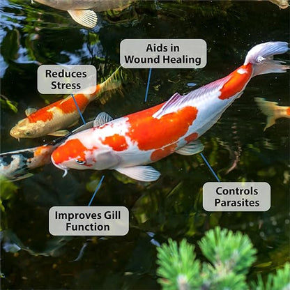CrystalClear ParaSalt Rock Salt Crystals for Pond & Water Garden, 10 lbs | Natural aquatic additive, fish parasite control with beneficial stress reducing slime coat treatment koi, plants & pet safe