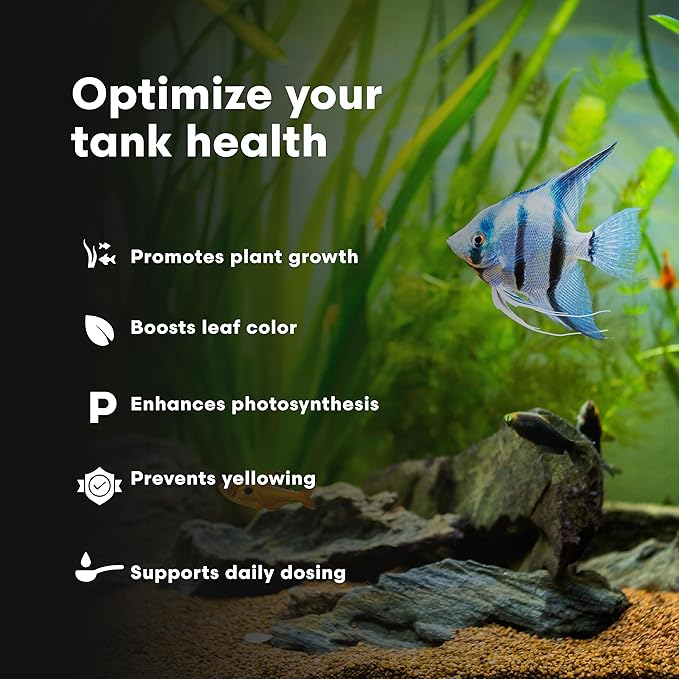 Brightwell Aquatics Florin-Fe Iron Supplement for Planted Aquariums – Dual-Action Iron Source for Plant Growth, Chlorophyll & Vibrant Foliage – Daily Dosing, 250 ml