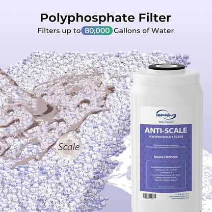 iSpring F3WGB31BPFKDS Whole House Water Filter Replacement Pack, SGS-Tested, Reduces PFAS, Scale, Heavy Metals, Chlorine, Corrosion, Taste & Odor, Up to 12 Months, 4.5” x 10”, Fits WGB31B-PFKDS