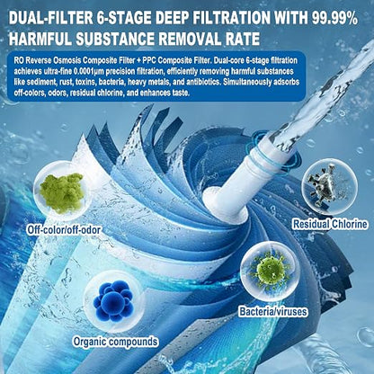 Level 6 RO Reverse Osmosis Filtration System—Under-Sink Water Purifier + 6 Filter Cartridges (Includes Faucet and Storage Tank), Featuring pH Adjustment and Mineral Replenishment, 100 GDP