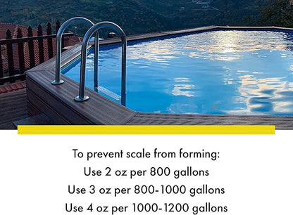 Spa & Hot Tub Scale Remover - Quart - Hot Tub & Spa Descaler, Scale Stain & Lime Stain Remover