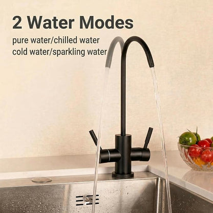 Two Way Drinking Faucet with Two Handles, Water Purifier RO Faucet, Stainless Steel Direct Drinking Kitchen tap for Filters, Sparkling, Cold Water (Matte Black)