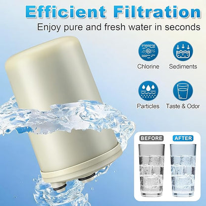 Saillong 2 Pack Premium F8 Water Filter Replacement Cartridge – Compatible with HG-N Type Water Ionizer, Compatible with Enagic Kangen LeveLuk SD501, JrIV, KANGEN 8 (Not Original Type Before 2010)