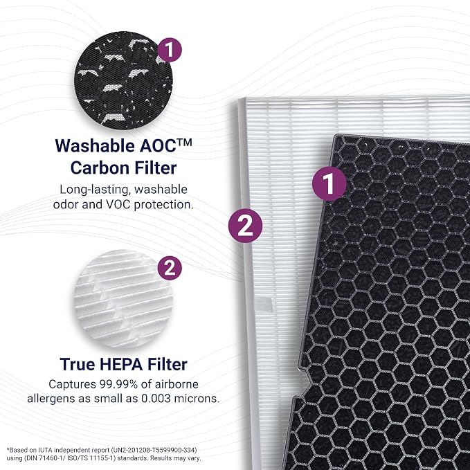 Genuine Winix 116130 Replacement Filter H for 5500-2 Air Purifier , 16.25"L x 12.5"W x 1.5"Th, White