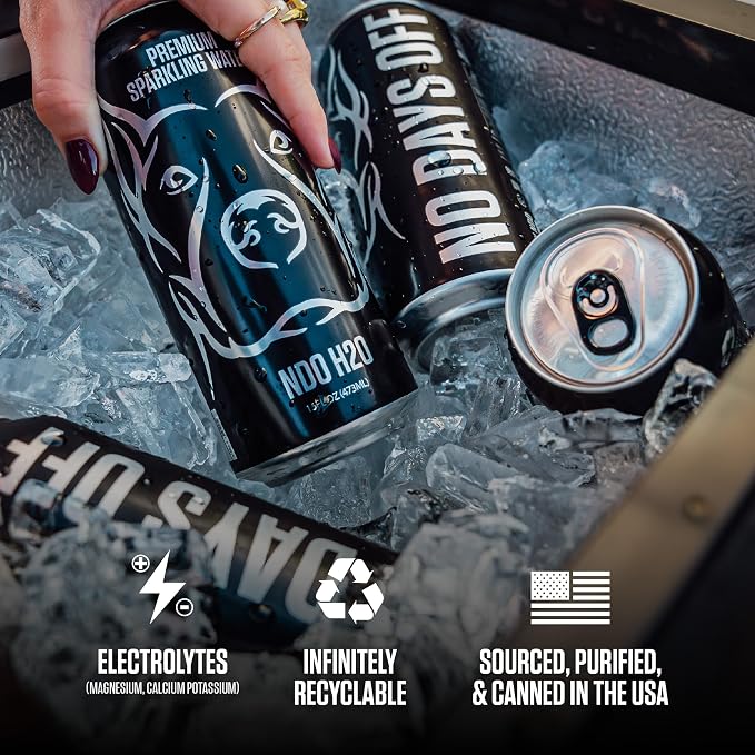 NO DAYS OFF Premium Sparkling Water - 12 Pack,16 fl oz, Unflavored - Ultra-Purified Reverse Osmosis with Gentle Carbonation, BPA-free 100% Recyclable Cans