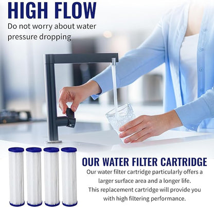 CFS Pleated Filters for EQ-PFC.35, WPC0.35-975, 0.35 Micron, 2 Pack | Sub-micron whole house post-filter polish; lasts about 6 months; 9.75 x 2.75 in, fits standard 10 in housings