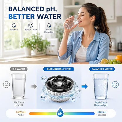 4 Pack Remineralization Water Filters Replacement, Compatible with Bluevua RO100ROPOT and RO100ROPOT(UV) Systems, Alkaline for Reverse Osmosis Filter, Remineralize and Increase pH