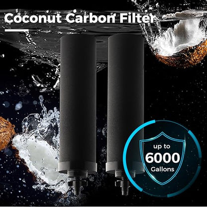 iSpring FDGF2 Activated Carbon Water Filter for iSpring DGF2 Gravity-fed Stainless Steel Countertop Water Filter System, Waterdrop® King Tank Series, and a Replacement for Berkey® BB9-2 Black Filter
