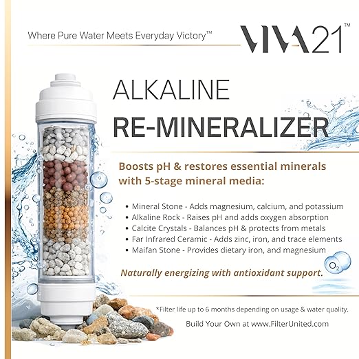 Reverse Osmosis System (6-Stage Alkaline)
