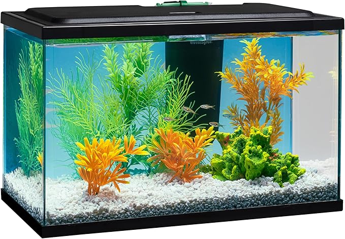 Tetra Whisper Bio-Bag Medium Filter Cartridge for Aquariums, 1 Count, Ready to Use, Fits Tetra Whisper Fish Tank Filters 5-10 Gal, PF-10, IQ 10