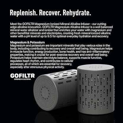 GOFILTR Jumbo Magnesium Alkaline Water Infuser - 9.5 pH + Electrolytes for Any Large Water Bottles/Pitchers, 300 Gallon / 3 Months, Ionized Mineral Alkaline Water Infuser (1 Pack)