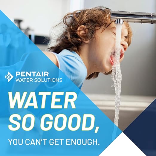 Pentair Easy Flow Under Sink Water Filtration System, PFAS Water Filter, NSF Certified to Reduce PFOA/PFOS