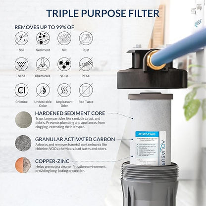 Fortitude V2 Series Sediment/Carbon/Zinc Bacteria Inhibiting Triple Purpose Replacement Filter - Standard (Sediment/Carbon/Zinc, Standard)