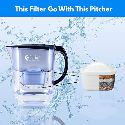Life Ionizer - Pitcher of Life Improved 2024 - Alkaline Pitcher Replacement Water Filters - Super Alkaline Water Filter Cartridge - Premium Water Alkalizer & Purifier - Single Pack