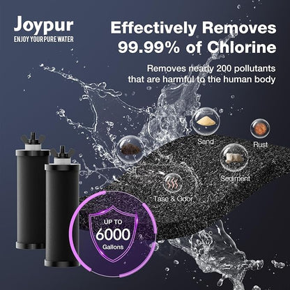Black Purification Elements, Replacement Filters for ProOne® and Berlkey® Filters, ProOne® Big+ or Berlkey® Big Countertop Gravity Water Filter System, NSF 42&372 Certified(4 Pack)