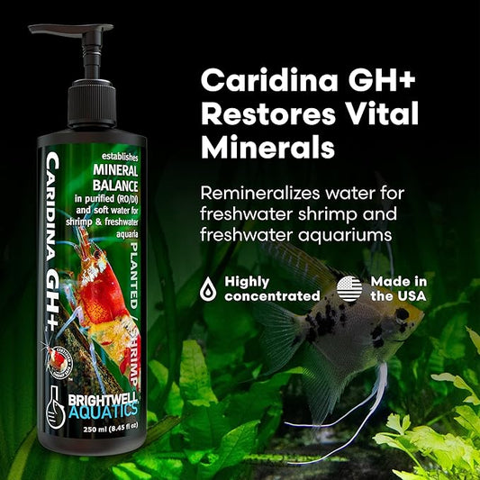 Brightwell Aquatics Caridina GH+ Mineral Supplement Restores Calcium Magnesium Potassium Sodium in Soft RO/DI Water for Shrimp Breeding and Plant Health, 125 ml