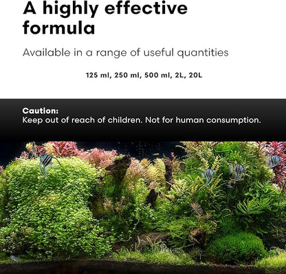 Brightwell Aquatics Florin-Fe Iron Supplement for Planted Aquariums – Dual-Action Iron Source for Plant Growth, Chlorophyll & Vibrant Foliage – Daily Dosing, 250 ml