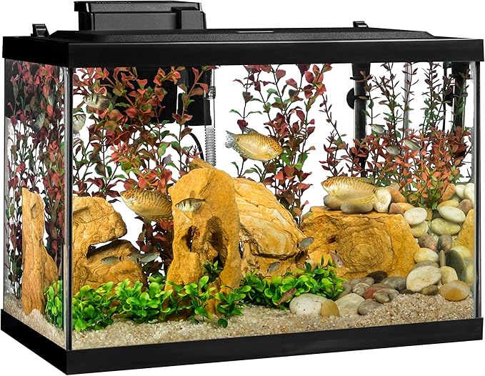 Tetra Whisper Bio-Bag Large Filter Cartridges for Aquariums, 1 Count, Ready to Use, Fits Tetra Whisper Fish Tank Filters 10-30 Gal, 20-40 Gal, PF-20, 30, 40, 60, IQ 20, 30, 45, 60